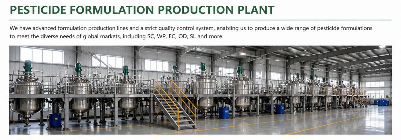 Formulation Plant 2