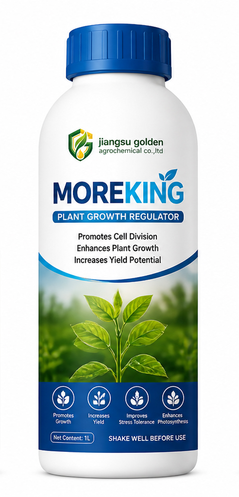 Moreking
