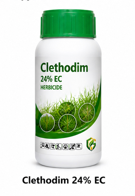 Clethodim 24% EC