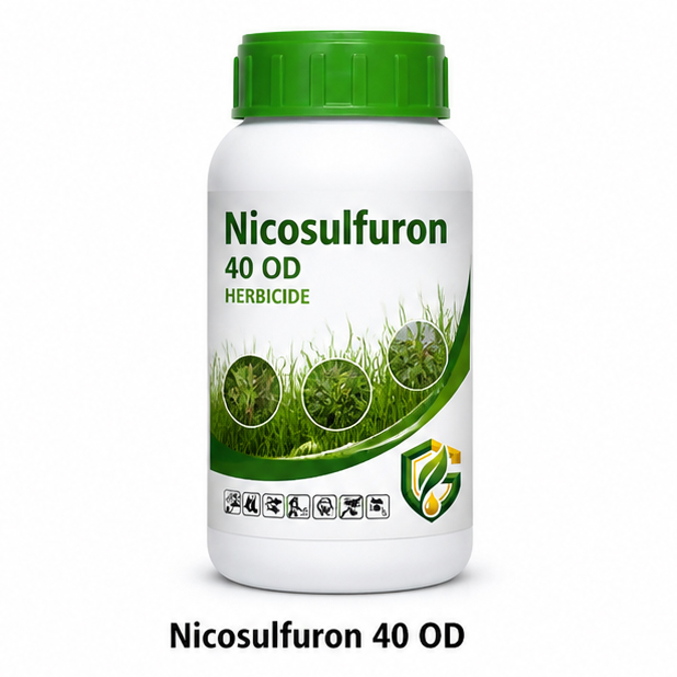 Nicosulfuron 4% OD
