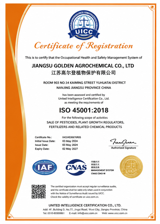 ISO 45001 Certification