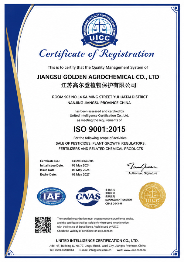 ISO 9001 Certification