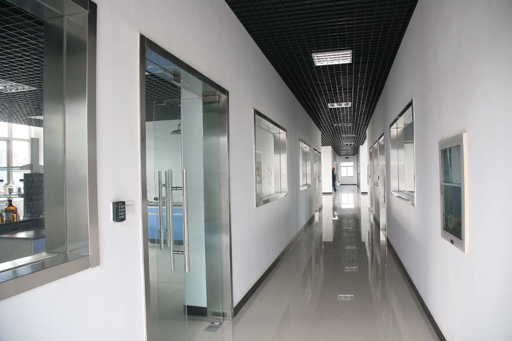 Laboratory 6